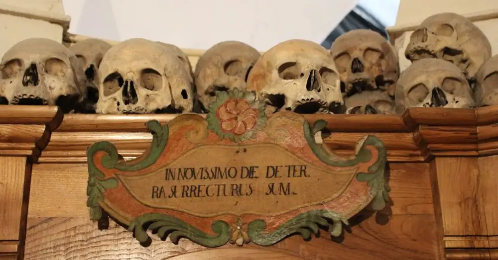 Skulls