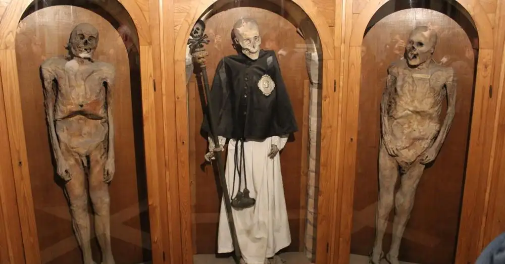 Three of the Mummies of Urbania