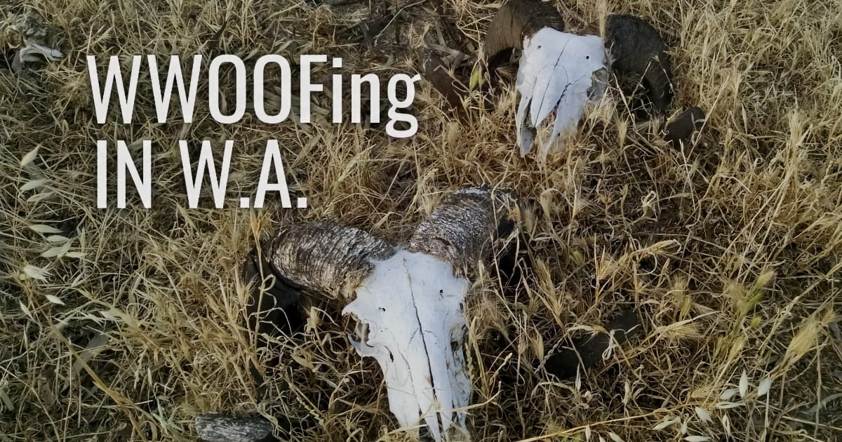 WWOOFing in Western Australia